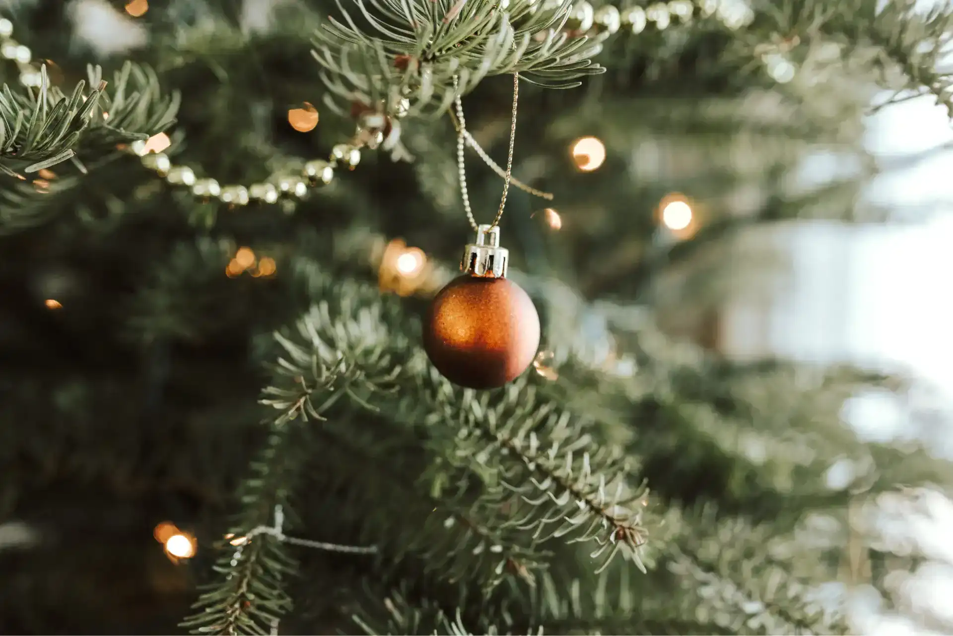 kerstbomen