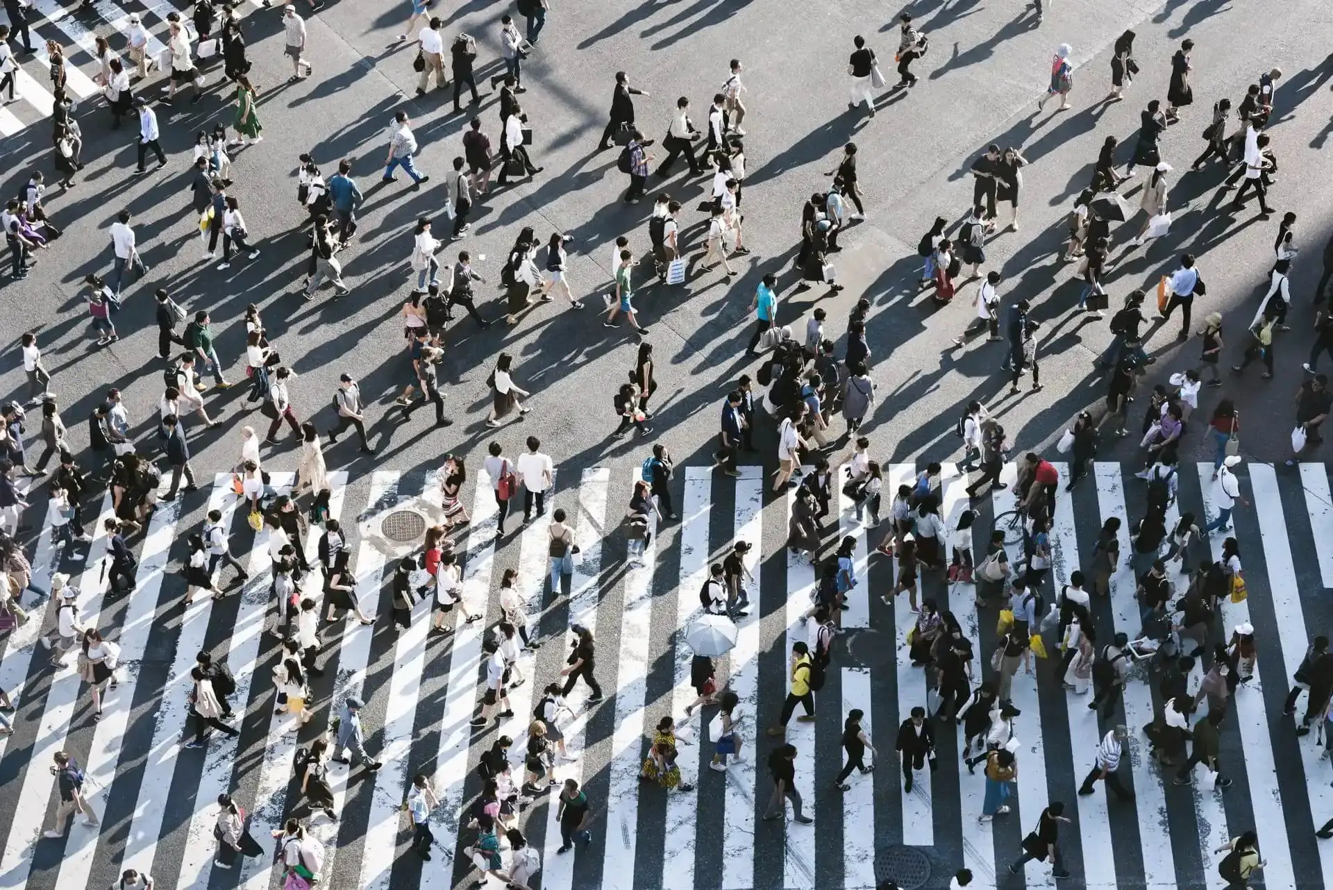 Obtenção de tráfego: O que fazer depois de lançar o seu novo Website de Aluguer