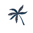Scott Carr Web Design logo