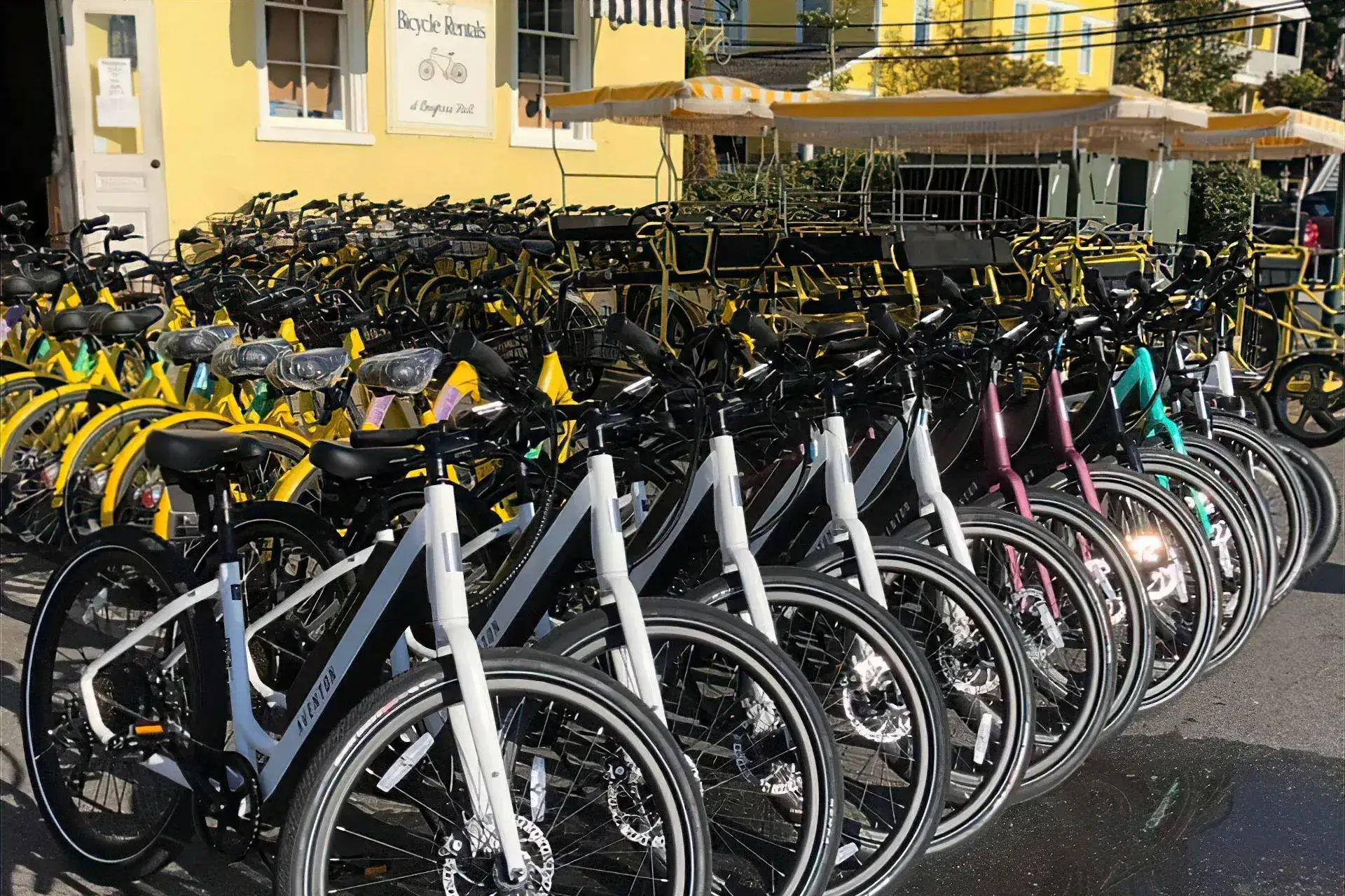Cape Island Bikes heeft na 25 jaar zijn inventaris gedigitaliseerd en is begonnen met online boekingen