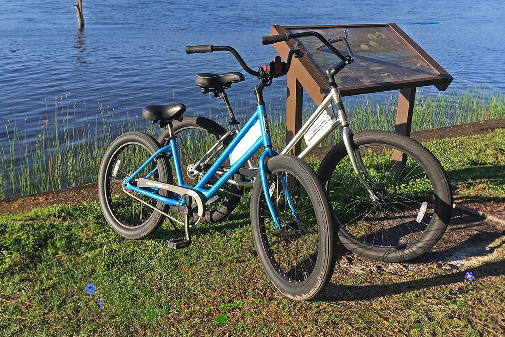 fun pug bike rentals