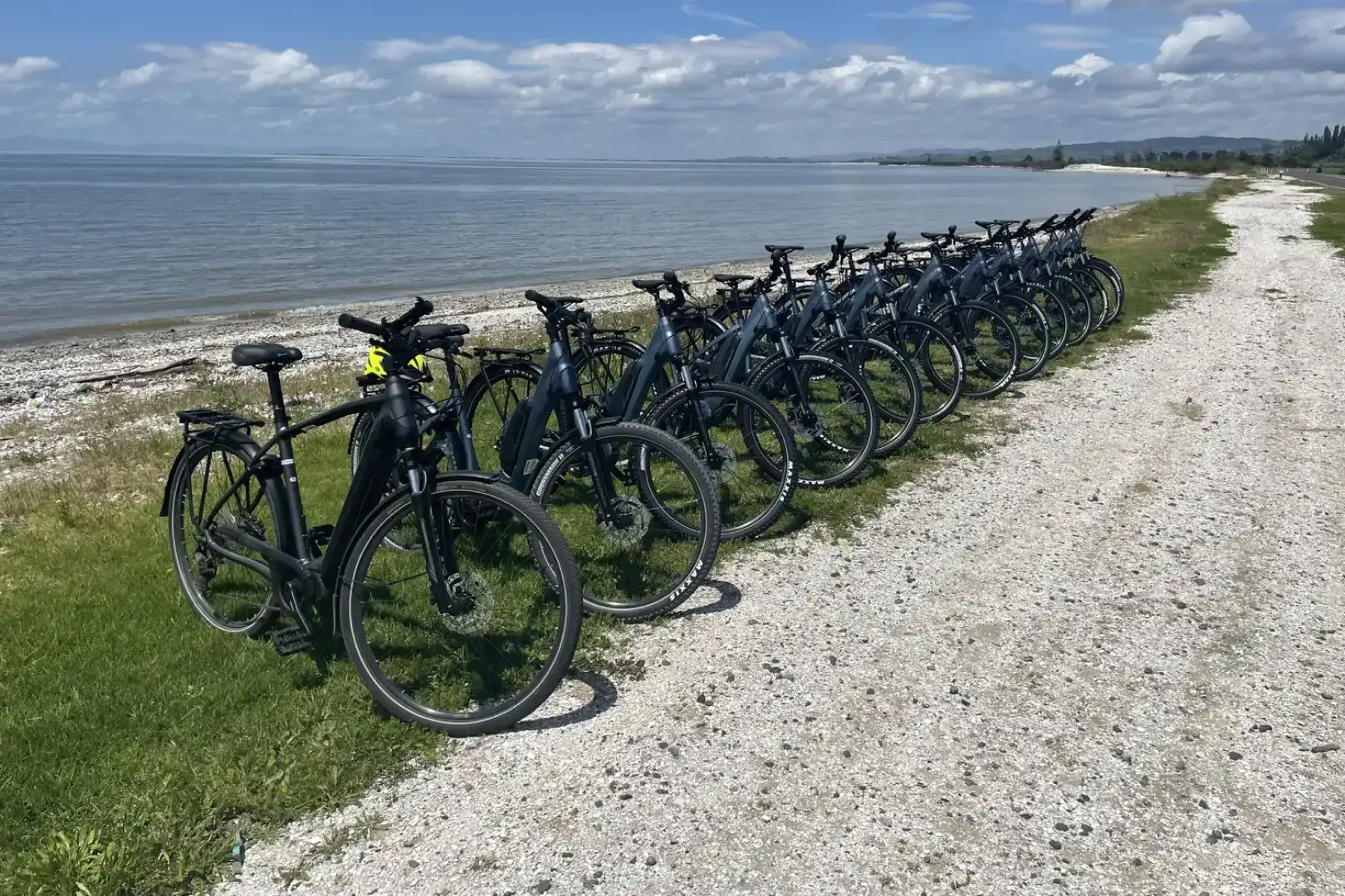 Wie Shorebird Cycles Onlinebuchungen mit Booqable akzeptiert