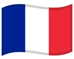 Flag icon