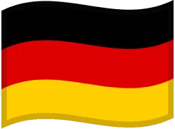 Flag icon