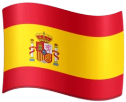 Flag icon