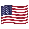Flag icon