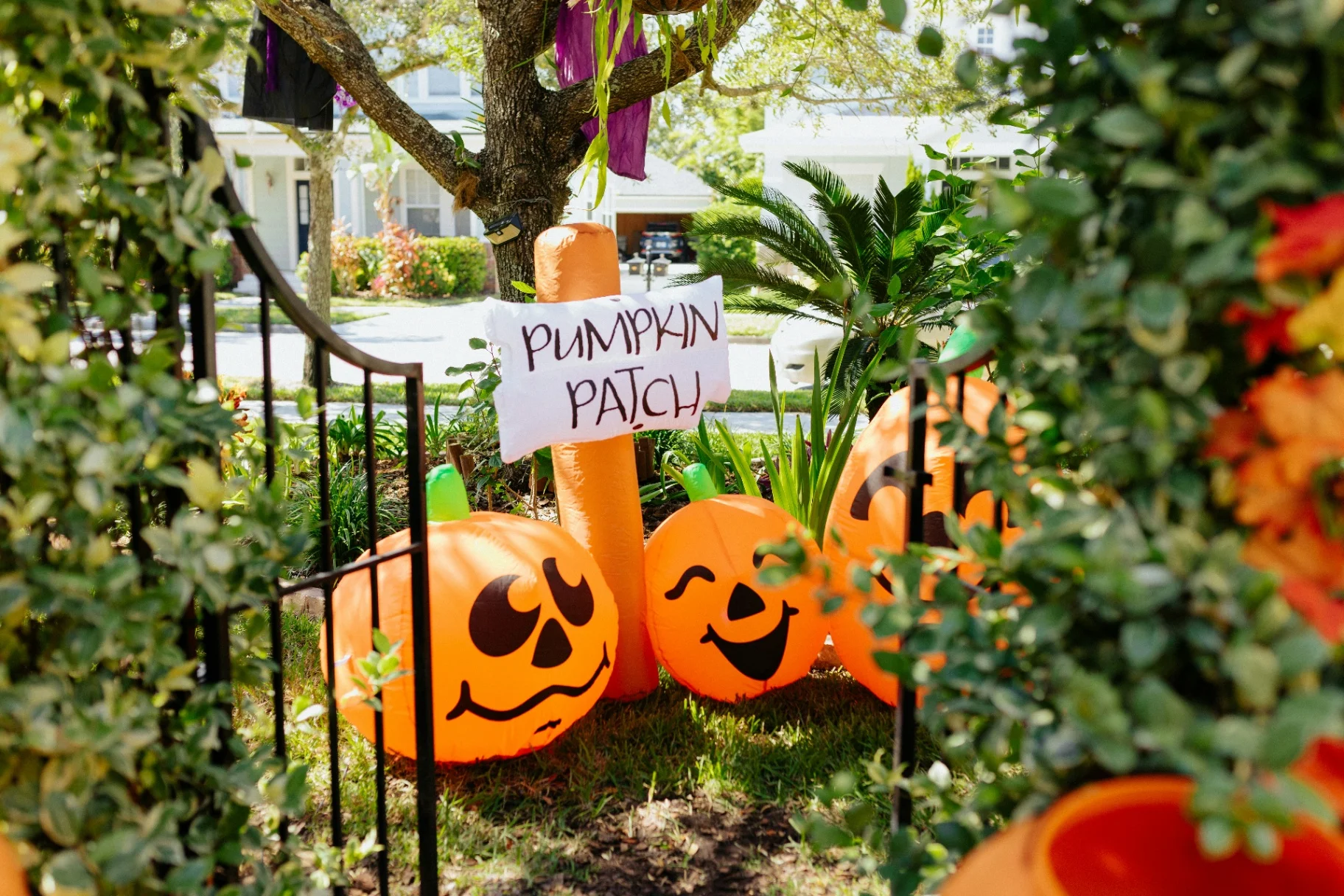 Lawn signs and yard greetings