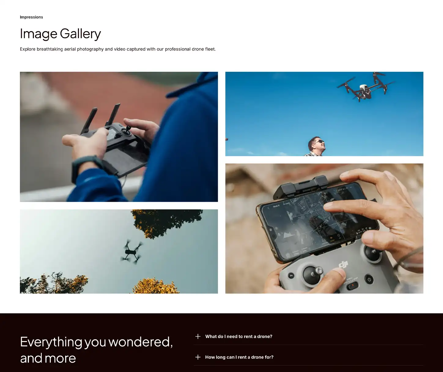 Skyward Theme - Drone Rental Website Template